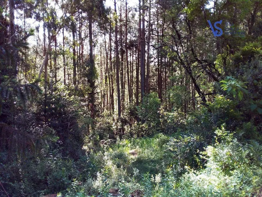Foto 3 de Terreno / Lote à venda, 88699m2 em Gramado - RS