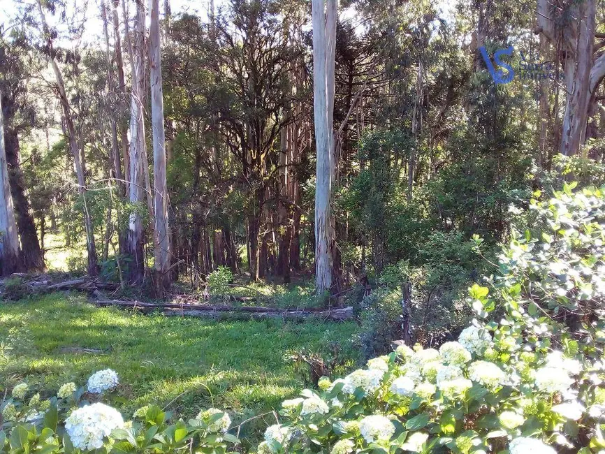 Foto 5 de Terreno / Lote à venda, 88699m2 em Gramado - RS