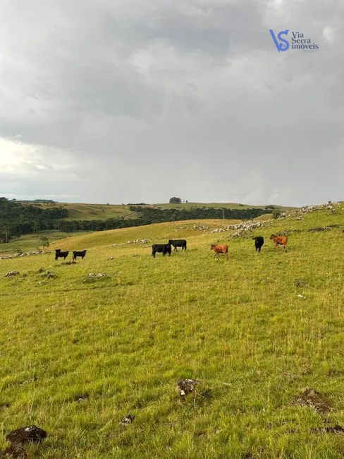 Sítio / Rancho à venda, 680000m2 em Sao Francisco De Paula - RS - imagem 5 Foto 5 de Sítio / Rancho à venda, 680000m2 em Sao Francisco De Paula - RS