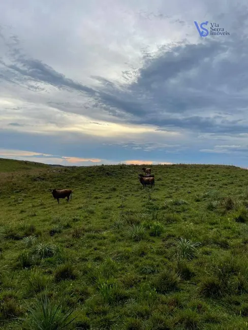 Sítio / Rancho à venda, 680000m2 em Sao Francisco De Paula - RS - imagem 7 Foto 7 de Sítio / Rancho à venda, 680000m2 em Sao Francisco De Paula - RS