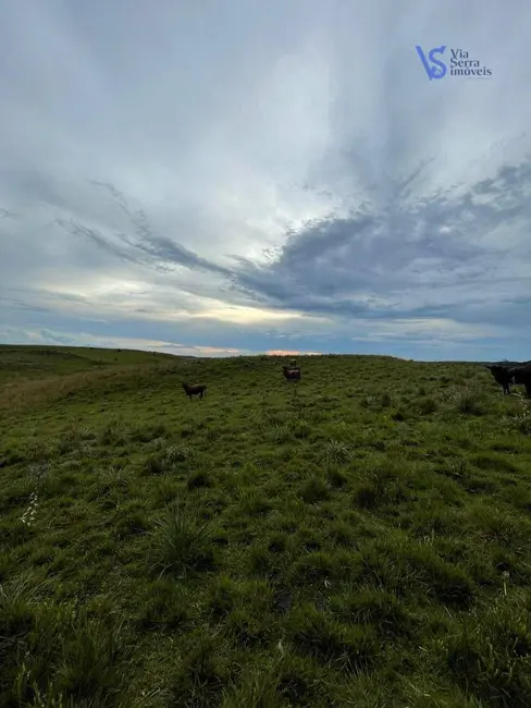 Sítio / Rancho à venda, 680000m2 em Sao Francisco De Paula - RS - imagem 6 Foto 6 de Sítio / Rancho à venda, 680000m2 em Sao Francisco De Paula - RS