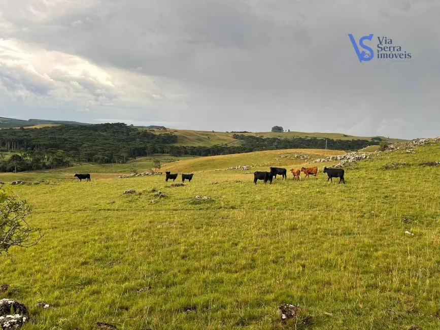 Sítio / Rancho à venda, 680000m2 em Sao Francisco De Paula - RS - imagem 1 Foto 1 de Sítio / Rancho à venda, 680000m2 em Sao Francisco De Paula - RS