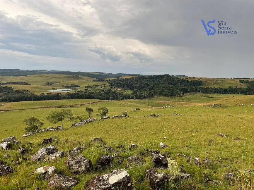 Sítio / Rancho à venda, 680000m2 em Sao Francisco De Paula - RS - imagem 2 Foto 2 de Sítio / Rancho à venda, 680000m2 em Sao Francisco De Paula - RS