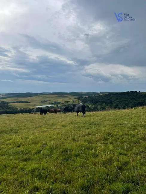 Sítio / Rancho à venda, 680000m2 em Sao Francisco De Paula - RS - imagem 9 Foto 9 de Sítio / Rancho à venda, 680000m2 em Sao Francisco De Paula - RS