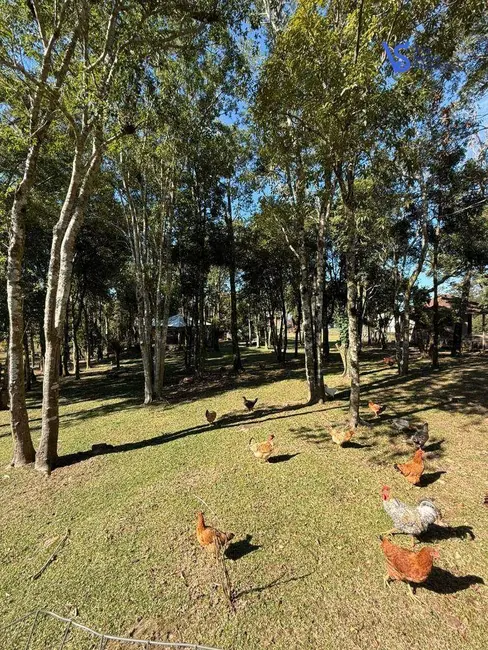 Foto 4 de Sítio / Rancho à venda, 2000m2 em Igrejinha - RS