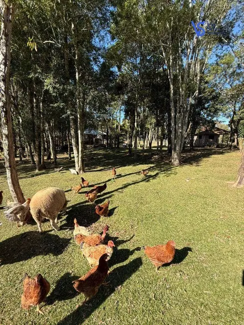 Foto 6 de Sítio / Rancho à venda, 2000m2 em Igrejinha - RS