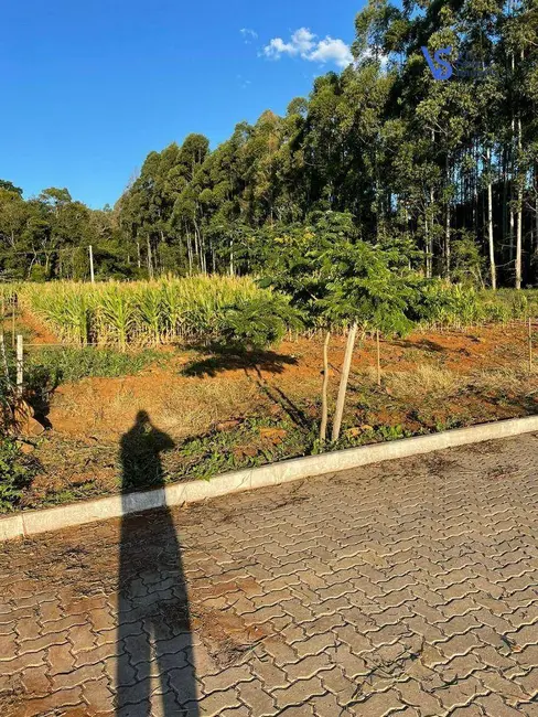 Foto 5 de Terreno / Lote à venda, 384m2 em Dois Irmaos - RS