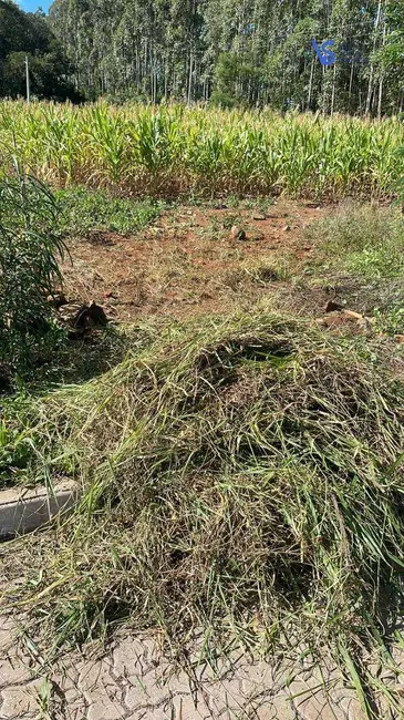Foto 3 de Terreno / Lote à venda, 384m2 em Dois Irmaos - RS