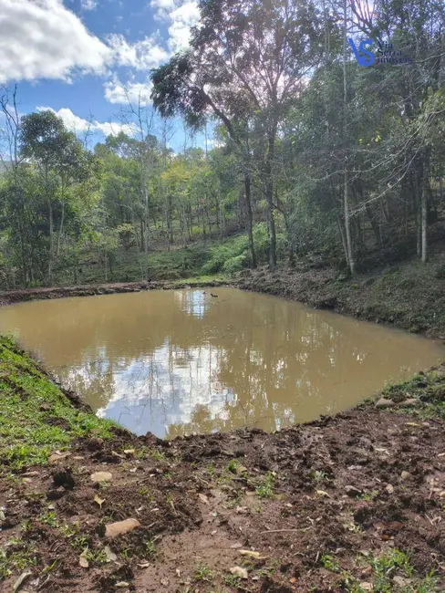 Foto 9 de Sítio / Rancho à venda, 42000m2 em Tres Coroas - RS