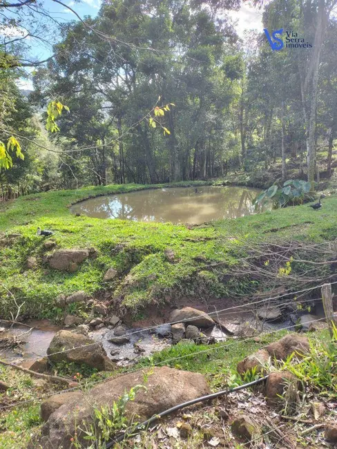 Foto 8 de Sítio / Rancho à venda, 42000m2 em Tres Coroas - RS