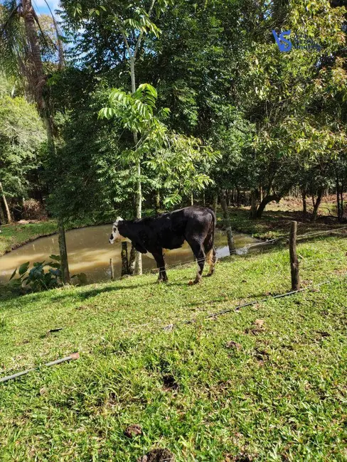 Foto 2 de Sítio / Rancho à venda, 42000m2 em Tres Coroas - RS