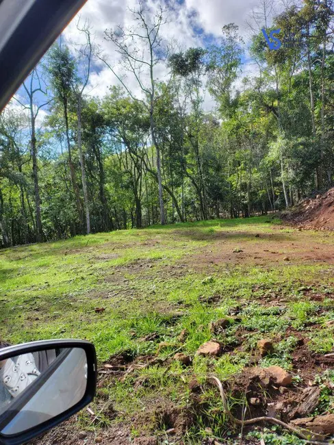 Foto 3 de Sítio / Rancho à venda, 42000m2 em Tres Coroas - RS