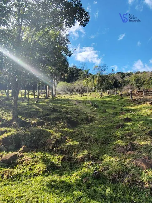 Foto 6 de Sítio / Rancho à venda, 42000m2 em Tres Coroas - RS