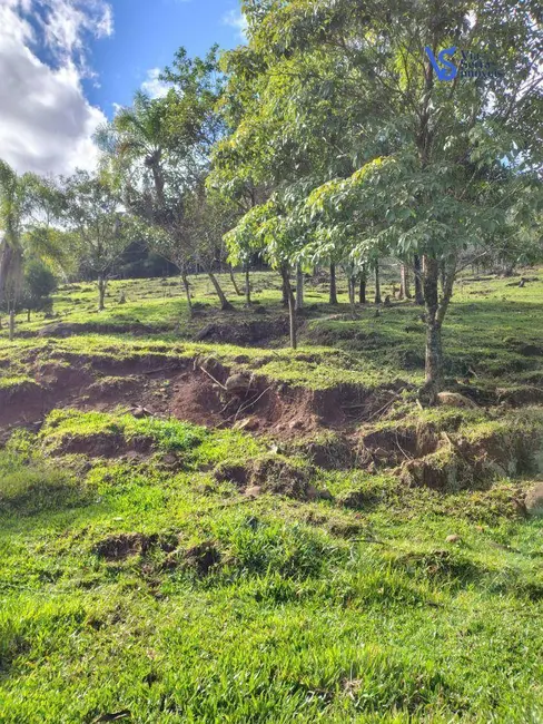 Foto 5 de Sítio / Rancho à venda, 42000m2 em Tres Coroas - RS