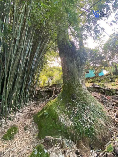 Foto 8 de Sítio / Rancho com 2 quartos à venda, 10000m2 em Igrejinha - RS