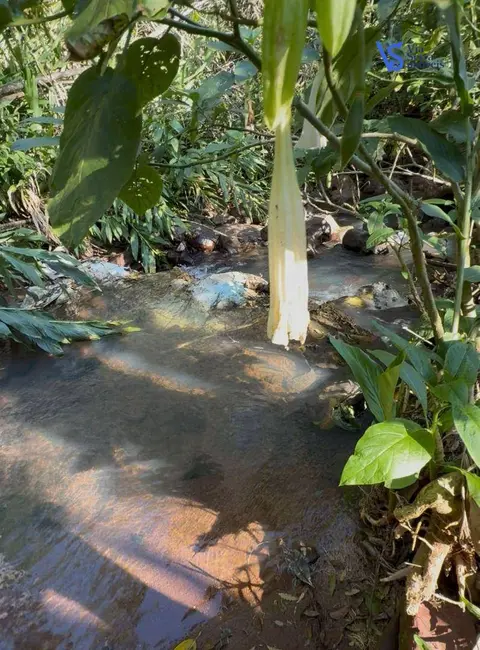 Foto 3 de Sítio / Rancho à venda, 75000m2 em Tres Coroas - RS