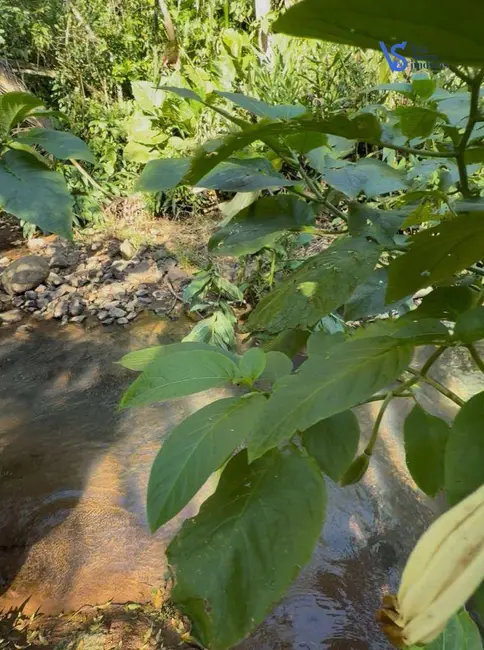 Foto 4 de Sítio / Rancho à venda, 75000m2 em Tres Coroas - RS