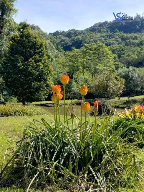 Foto 4 de Sítio / Rancho com 3 quartos à venda, 170000m2 em Nova Hartz - RS