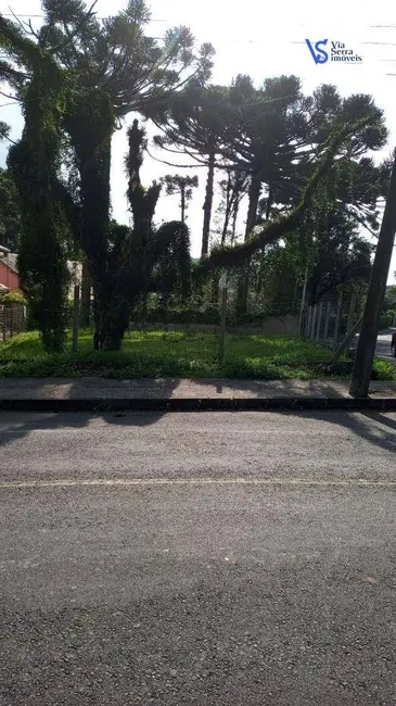 Terreno / Lote à venda, 482m2 em Canela - RS - imagem 3 Foto 3 de Terreno / Lote à venda, 482m2 em Canela - RS