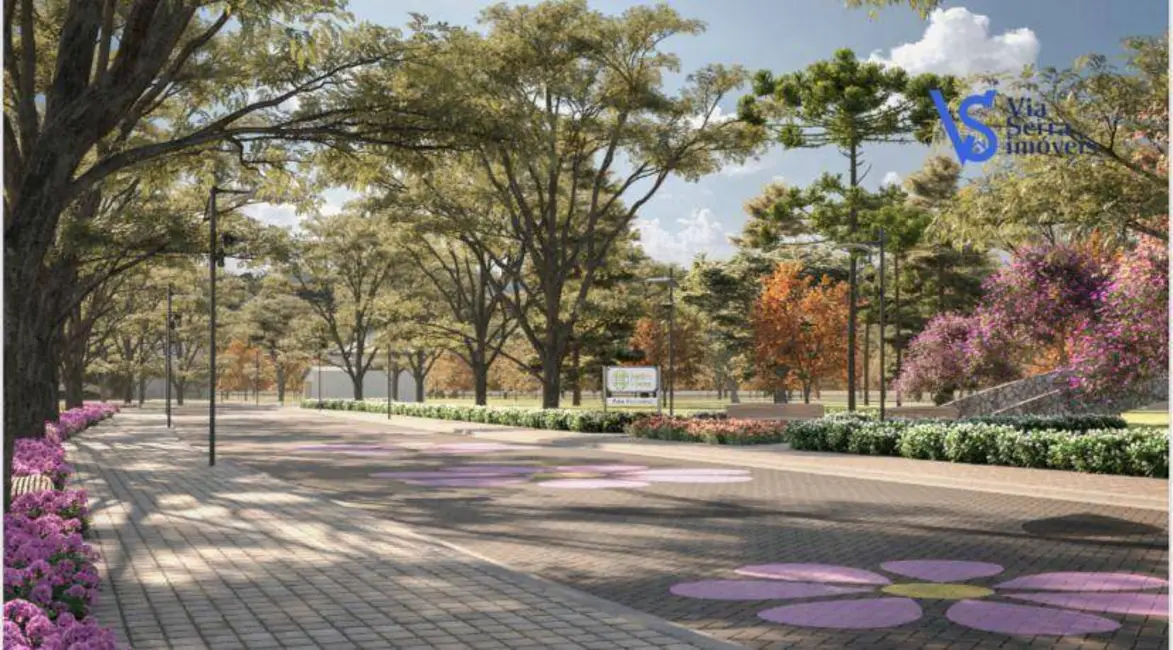 Terreno / Lote à venda, 230m2 em Canela - RS - imagem 8 Foto 8 de Terreno / Lote à venda, 230m2 em Canela - RS