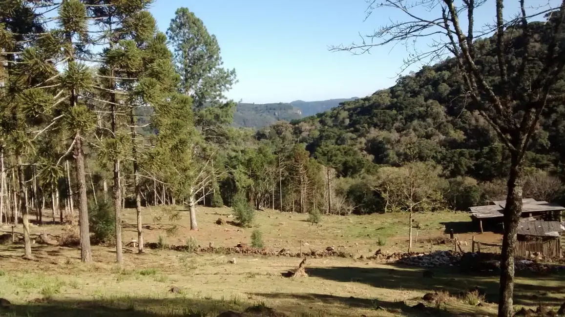 Foto 3 de Sítio / Rancho à venda, 30000m2 em Canela - RS