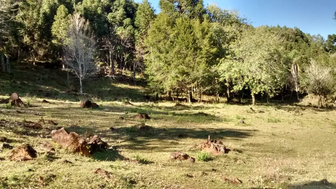 Foto 6 de Sítio / Rancho à venda, 30000m2 em Canela - RS