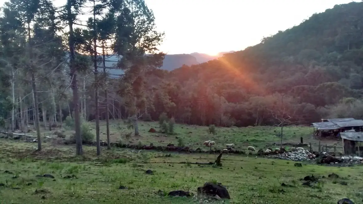 Foto 9 de Sítio / Rancho à venda, 30000m2 em Canela - RS
