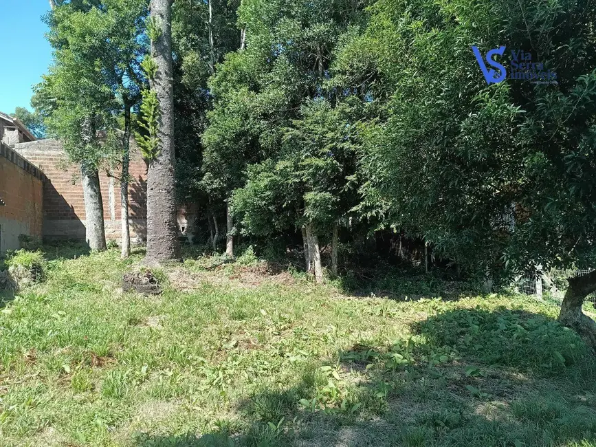 Foto 3 de Terreno / Lote à venda, 420m2 em Canela - RS