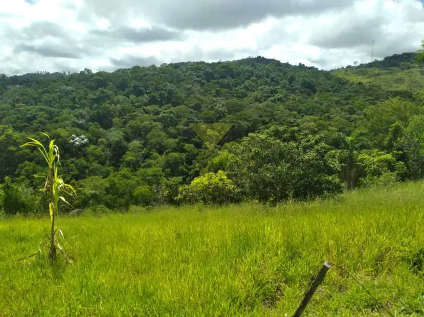 Foto 9 de Chácara com 3 quartos à venda, 100m2 em Santa Branca - SP