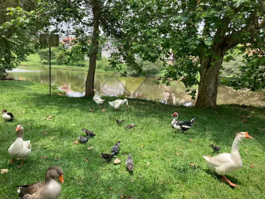 Foto 8 de Casa de Condomínio com 2 quartos à venda, 60m2 em Mogi Das Cruzes - SP