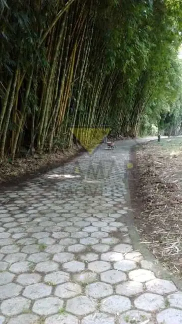 Foto 9 de Sítio / Rancho à venda, 30000m2 em Mogi Das Cruzes - SP