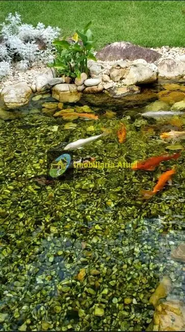 Foto 6 de Casa com 4 quartos à venda, 1078m2 em Jardim Maluche, Brusque - SC