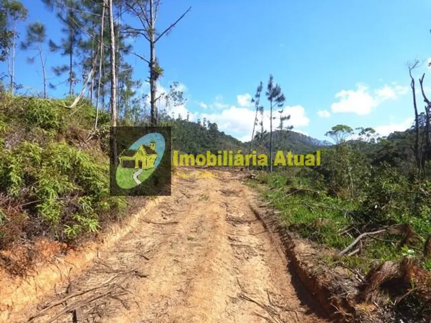 Foto 3 de Terreno / Lote à venda, 182639m2 em Limeira Alta, Brusque - SC