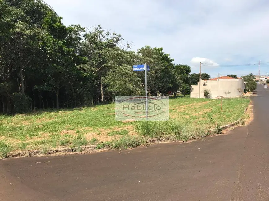 Foto 3 de Terreno / Lote à venda, 338m2 em Brodowski - SP