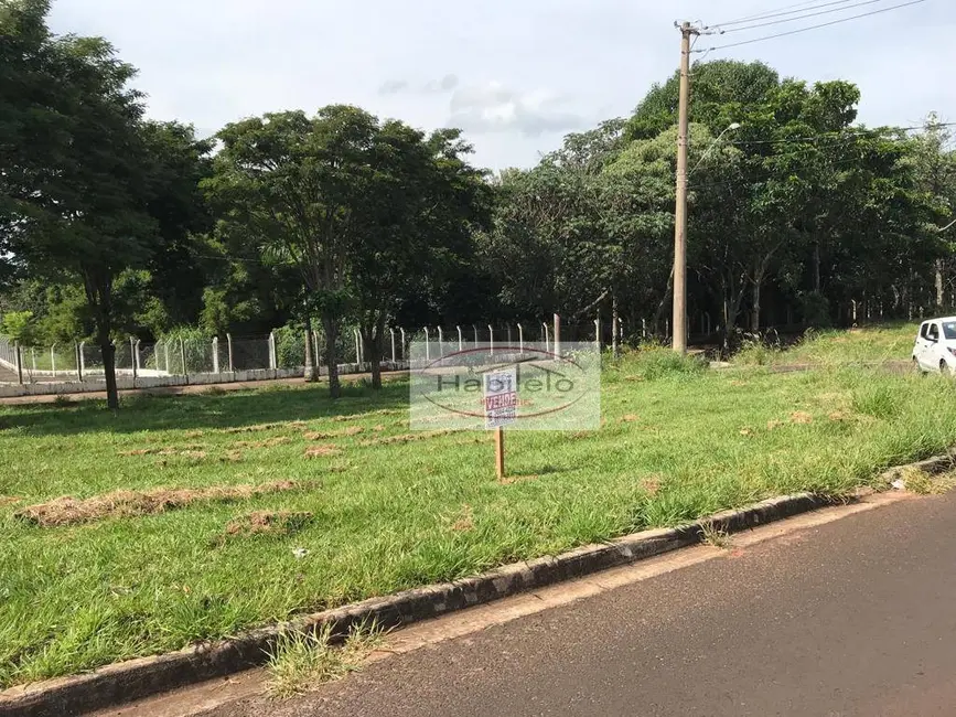 Foto 3 de Terreno / Lote à venda, 336m2 em Brodowski - SP