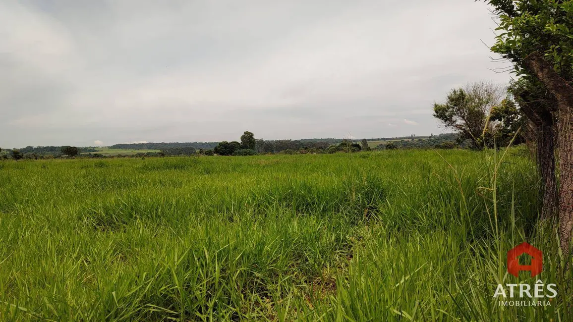 Foto 4 de Sala Comercial à venda, 51900m2 em Residencial Buena Vista IV, Goiania - GO