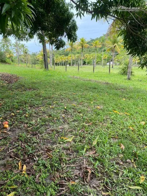 Chácara à venda, 25000m2 em Umbura, Igarassu - PE - imagem 3 Foto 3 de Chácara à venda, 25000m2 em Umbura, Igarassu - PE