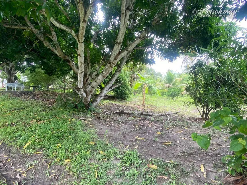 Chácara à venda, 25000m2 em Umbura, Igarassu - PE - imagem 4 Foto 4 de Chácara à venda, 25000m2 em Umbura, Igarassu - PE