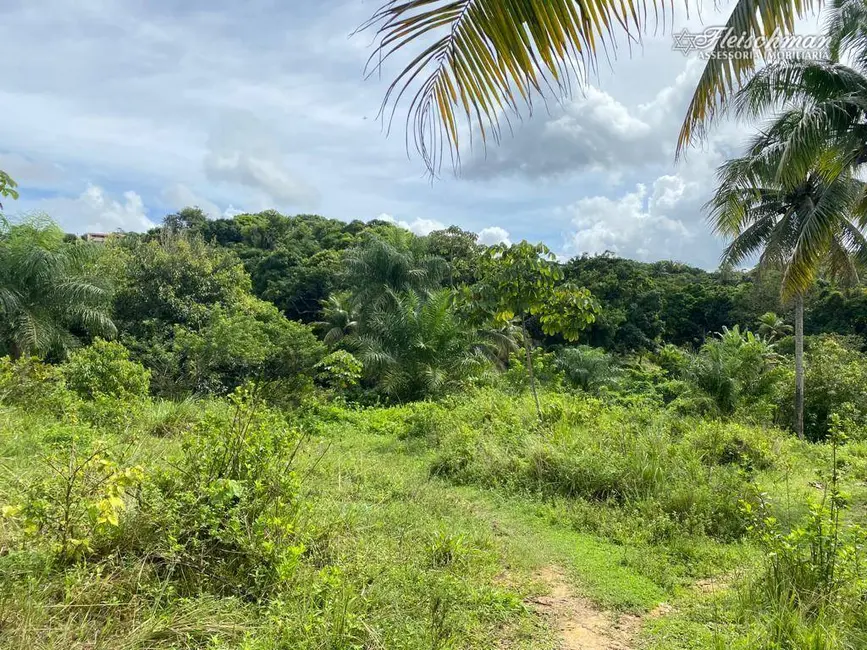 Foto 3 de Terreno / Lote à venda, 20000m2 em Jardim Primavera, Camaragibe - PE