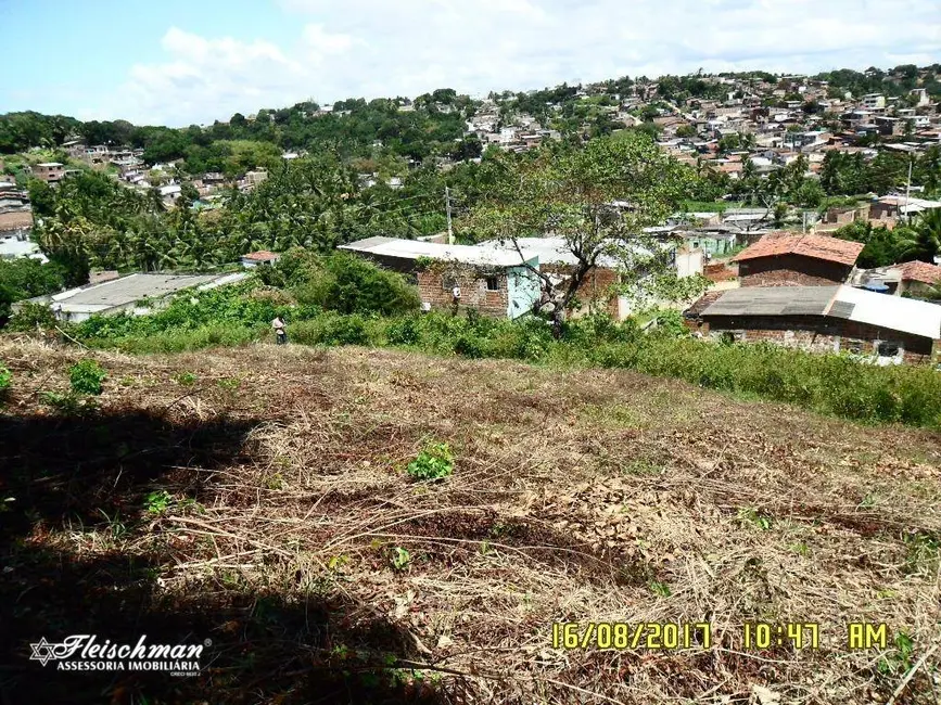 Terreno / Lote à venda, 6600m2 em Vila Torres Galvão, Paulista - PE - imagem 3 Foto 3 de Terreno / Lote à venda, 6600m2 em Vila Torres Galvão, Paulista - PE