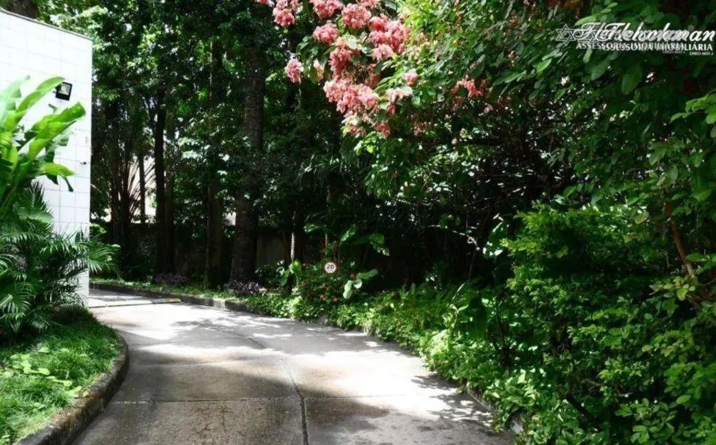 Apartamento com 4 quartos à venda, 253m2 em Casa Forte, Recife - PE - imagem 5 Foto 5 de Apartamento com 4 quartos à venda, 253m2 em Casa Forte, Recife - PE