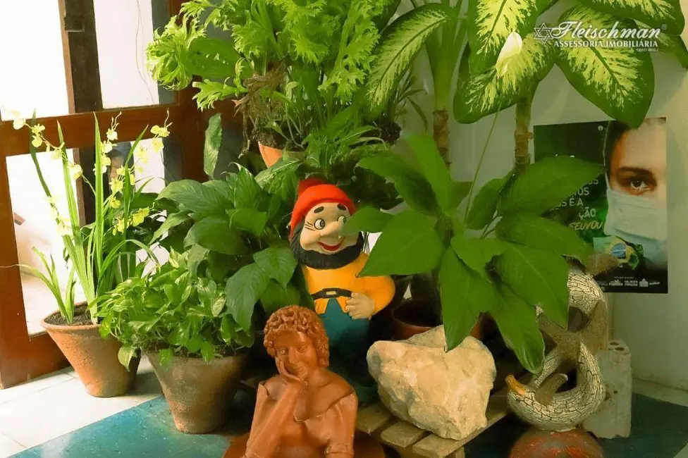 Casa com 10 quartos à venda e para alugar, 450m2 em Madalena, Recife - PE - imagem 6 Foto 6 de Casa com 10 quartos à venda e para alugar, 450m2 em Madalena, Recife - PE