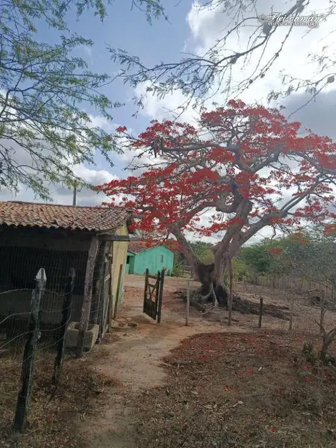 Foto 5 de Sítio / Rancho à venda, 3500m2 em Gravata - PE