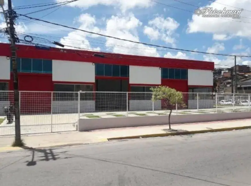 Terreno / Lote para alugar, 1300m2 em Casa Amarela, Recife - PE - imagem 8 Foto 8 de Terreno / Lote para alugar, 1300m2 em Casa Amarela, Recife - PE