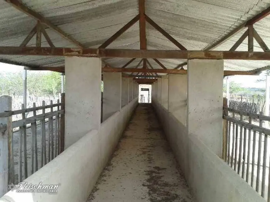 Foto 2 de Fazenda / Haras com 3 quartos à venda, 1771000m2 em Sertania - PE