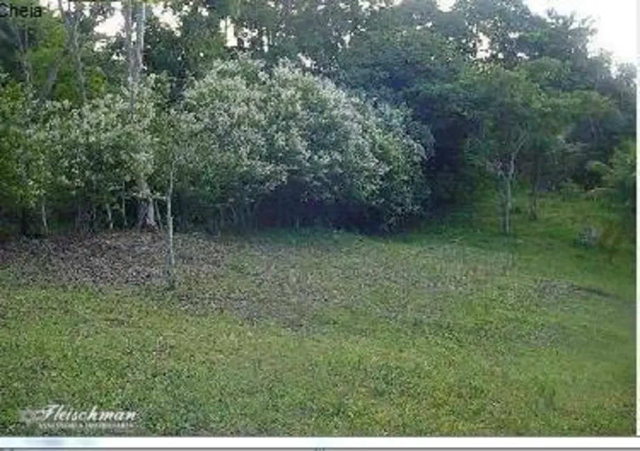 Foto 4 de Chácara com 2 quartos à venda, 37000m2 em Centro, Moreno - PE