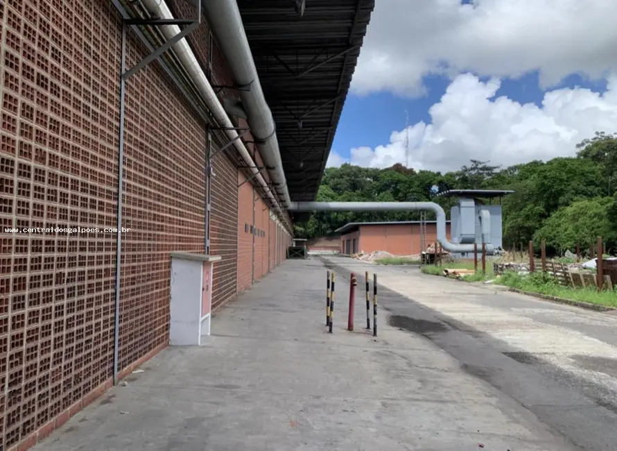 Foto 4 de Armazém / Galpão para alugar, 4000m2 em Simoes Filho - BA