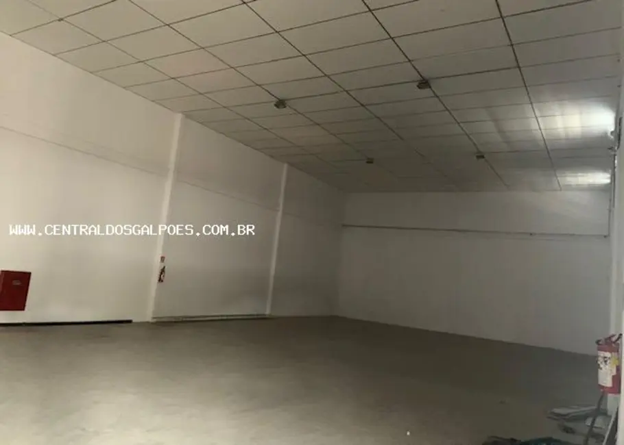 Foto 5 de Armazém / Galpão para alugar, 600m2 em Simoes Filho - BA