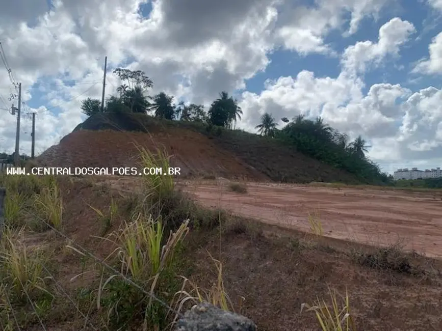 Terreno / Lote para alugar, 44000m2 em Salvador - BA - imagem 6 Foto 6 de Terreno / Lote para alugar, 44000m2 em Salvador - BA