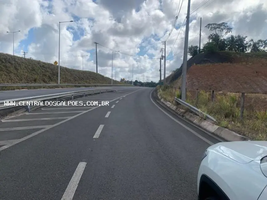 Terreno / Lote para alugar, 44000m2 em Salvador - BA - imagem 3 Foto 3 de Terreno / Lote para alugar, 44000m2 em Salvador - BA